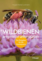 Wildbienen artgerecht unterstützen Niebel-Lohmann, Angela 9783258082394