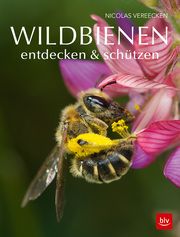 Wildbienen entdecken & schützen Vereecken, Nicolas 9783835419261