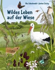 Wildes Leben auf der Wiese Sokolowski, Ilka 9783836961257