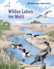 Wildes Leben im Watt Sokolowski, Ilka 9783836956963