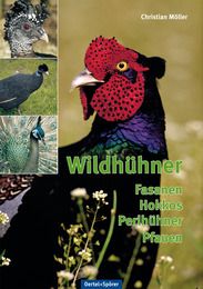 Wildhühner Möller, Christian/Boetticher, Hans von 9783886275625