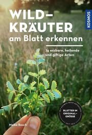 Wildkräuter am Blatt erkennen Bosch, Meike 9783440173855