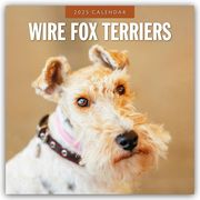 Wire Fox Terriers - Drahthaar Foxterrier 2025 - 16-Monatskalender  9781804425244