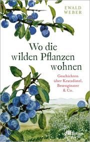 Wo die wilden Pflanzen wohnen Weber, Ewald 9783962383435