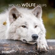 Wolves/Wölfe 2025  9783959294614