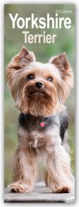 Yorkshire Terrier - Yorkies 2025  9781804605202