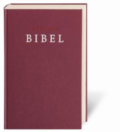 Zürcher Bibel - Großdruckbibel  9783438012890