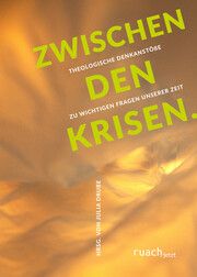 Zwischen den Krisen Julia Drube 9783949617485