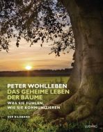 Das geheime Leben der Bäume Wohlleben, Peter 9783453280885