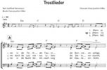 Einzelstimme - Trostlieder - Chor (PDF)