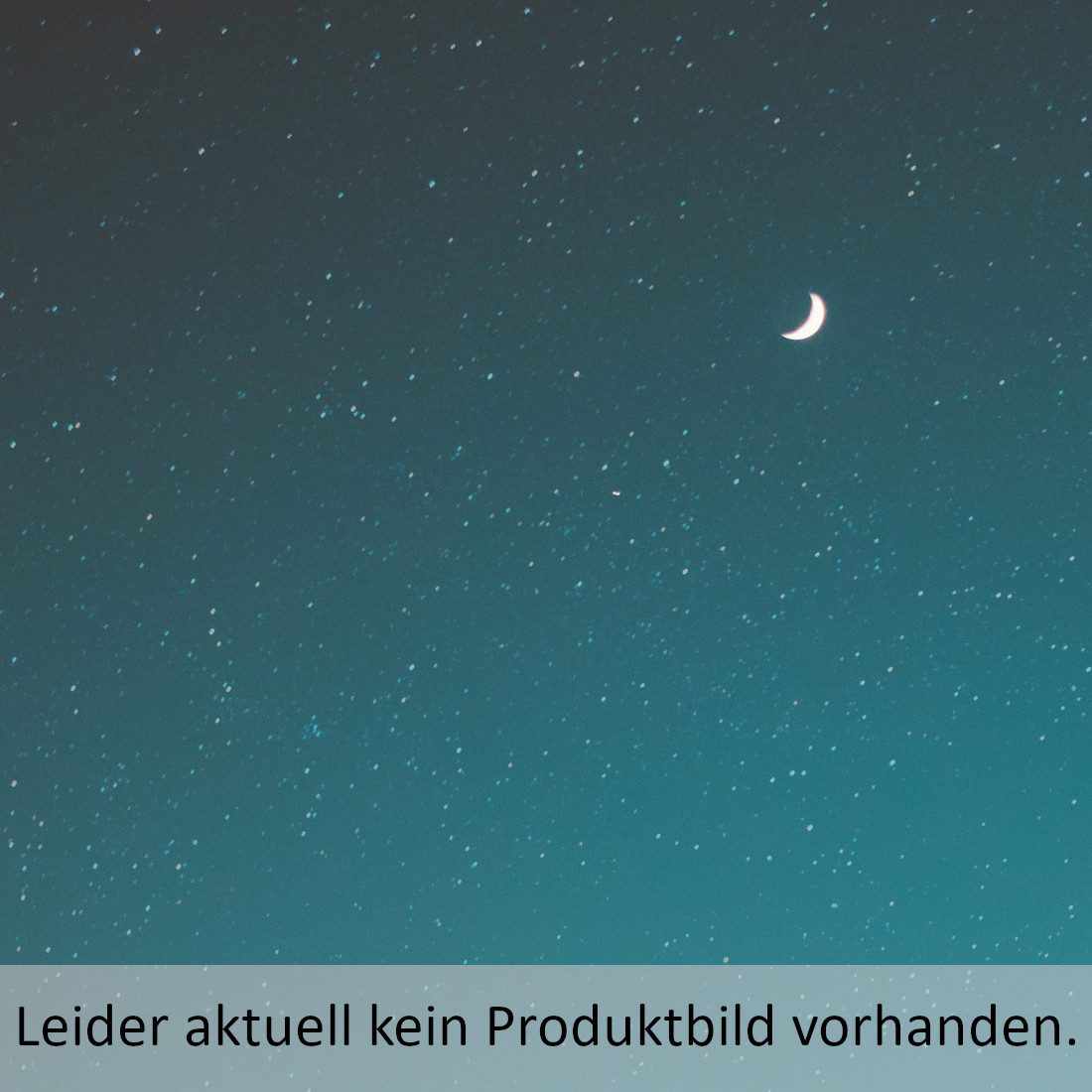 Licht - verborgen im Überfluss Engelsberger, Gerhard 9783945369470